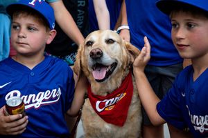 Image post by @RidersBaseball on Twitter