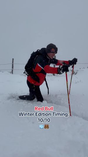 Video post by @redbullaustria on TikTok