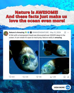 Image post by @greenpeace on Instagram