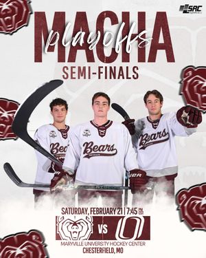 Image post by @d3mostateicebears on Instagram