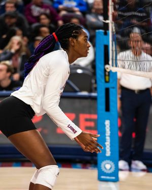 Image post by @lmulionswvb on Instagram