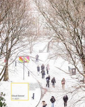 Image post by @northeastern on Instagram