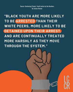 Image post by @lakidsrights on Instagram