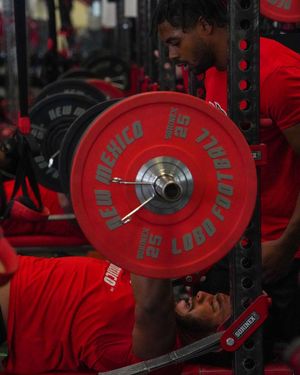Image post by @unmlobofb on Instagram