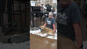 Video post by @daughtersoftheroad on YouTube