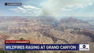 Video post by @abcnewslive on TikTok