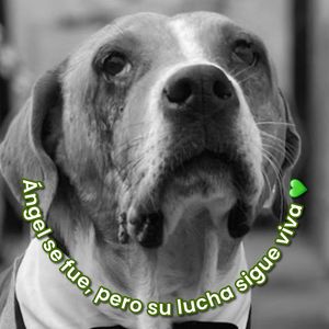 Image post by @tierradenando on Instagram