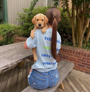 Image post by @kenziegracewalker on Instagram