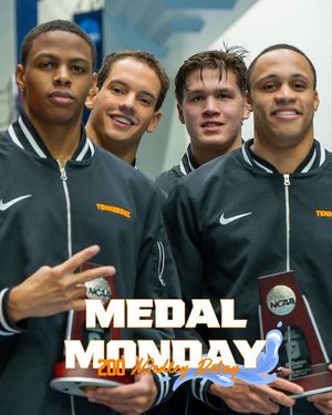 Image post by @vol_swimdive on Instagram