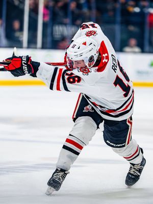 Image post by @ohlicedogs on Instagram