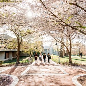 Image post by @provcollege on Instagram