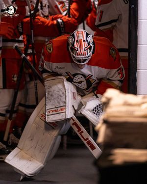 Image post by @AnaheimDucks on Twitter/X