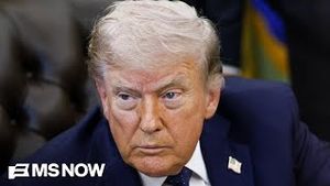 Video post by @msnbc on YouTube