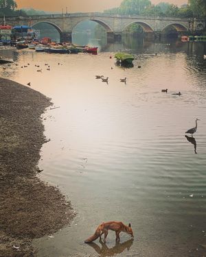 Image post by @phillwebster on Instagram