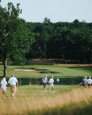 Image post by @playmassgolf on Instagram