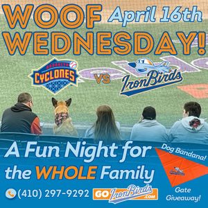 Image post by @aberdeenironbirds on Instagram