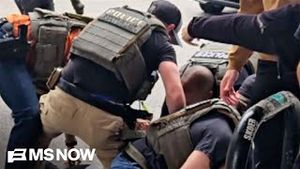 Video post by @msnbc on YouTube
