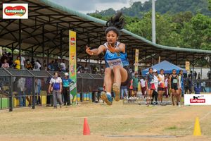 Image post by @thepapare on Instagram