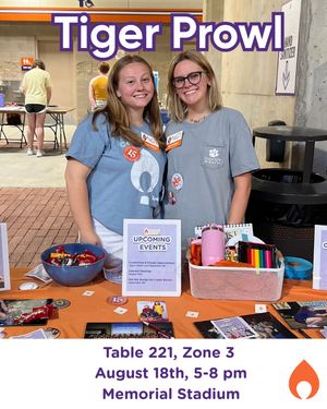 Image post by @clemsonmiracle on Instagram