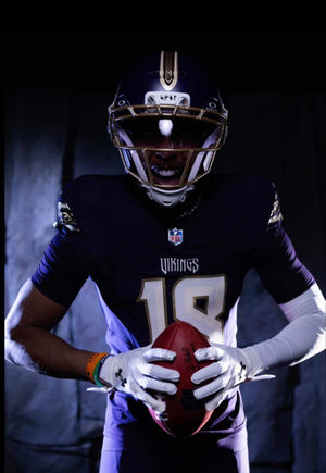 Video post by @thatvikingsfan on TikTok
