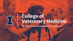 Video post by @illinoisvetmed on YouTube
