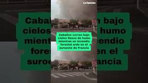 Video post by @laopinionla on YouTube