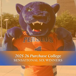 Image post by @purchasecollegeathletics on Instagram