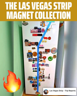 Image post by @dkcasino on TikTok