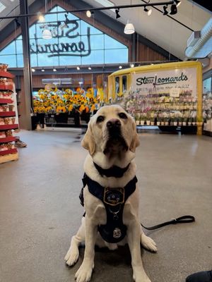 Image post by @stewleonards on Instagram