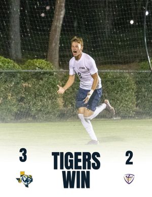 Image post by @goetbutigers on Instagram