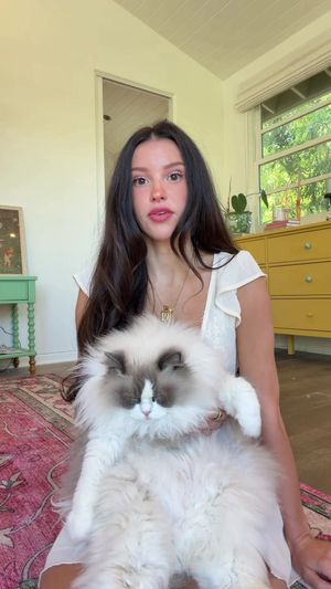 Video post by @lyssielooloo on TikTok