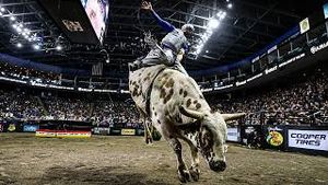 Video post by @pbr on YouTube