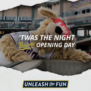 Image post by @saltdogsball on Instagram