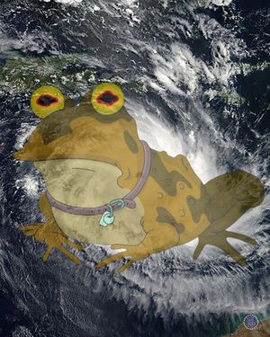 Image post by @barstooltcu on Instagram