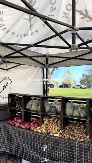 Video post by @smartcitychicago on TikTok