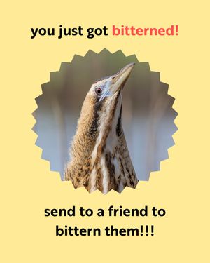 Image post by @rspb on Instagram