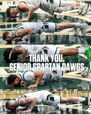 Image post by @msu.nil.store on Instagram