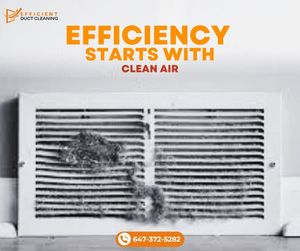 Image post by @Efficientductcleaning on Facebook
