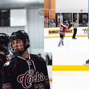 Image post by @cockhockey on Instagram