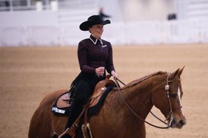 Image post by @aggieequestrian on Instagram