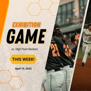 Image post by @gohoneyhunters on Instagram