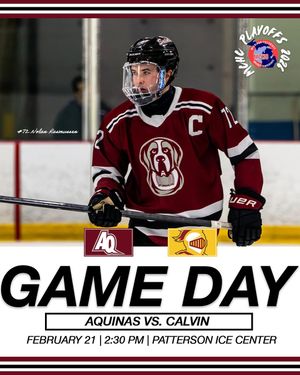 Image post by @aquinasd3hockey on Instagram