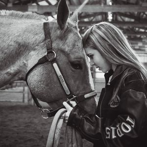 Image post by @american_royal on Instagram
