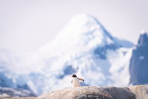 Image post by @jackpowerphotography on Instagram