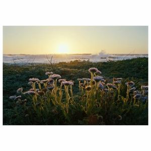 Image post by @slatermoorephotography on Instagram