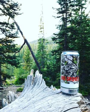 Image post by @biggrovebrewery on Instagram