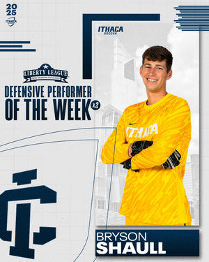 Image post by @bomber_sports on Instagram