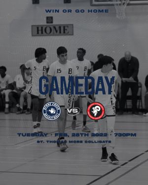 Image post by @byrnebball on Instagram