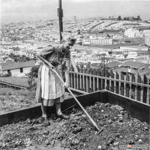 Image post by @opensfhistory on Instagram