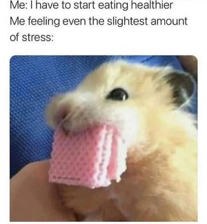 Image post by @introvertsays.in on Instagram
